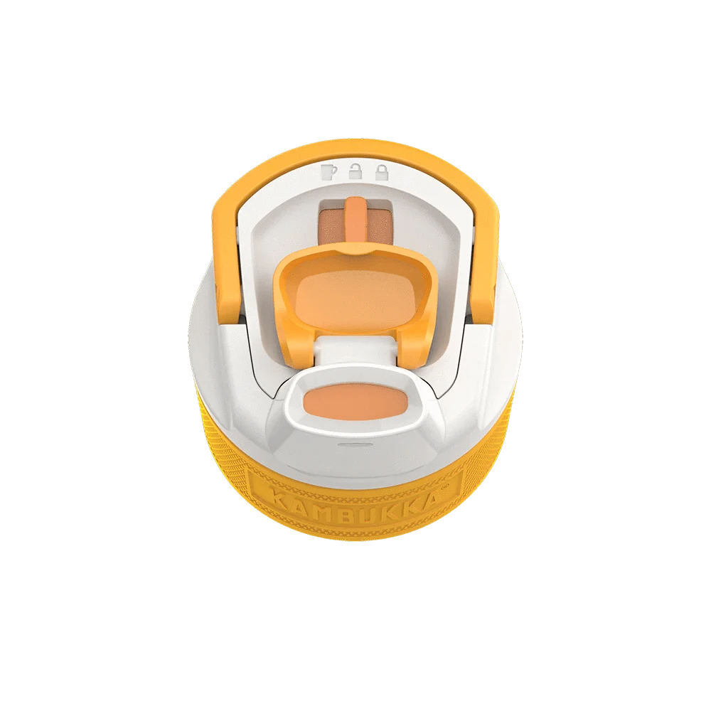 Villem Kambukka veepudel Elton Insulated 750 ml - Mango Maniac Kambukka