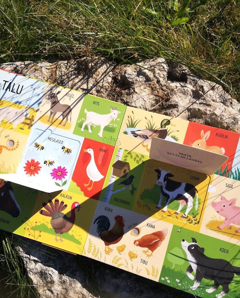 Villem 101 esimest sõna. Loomad Koolibri