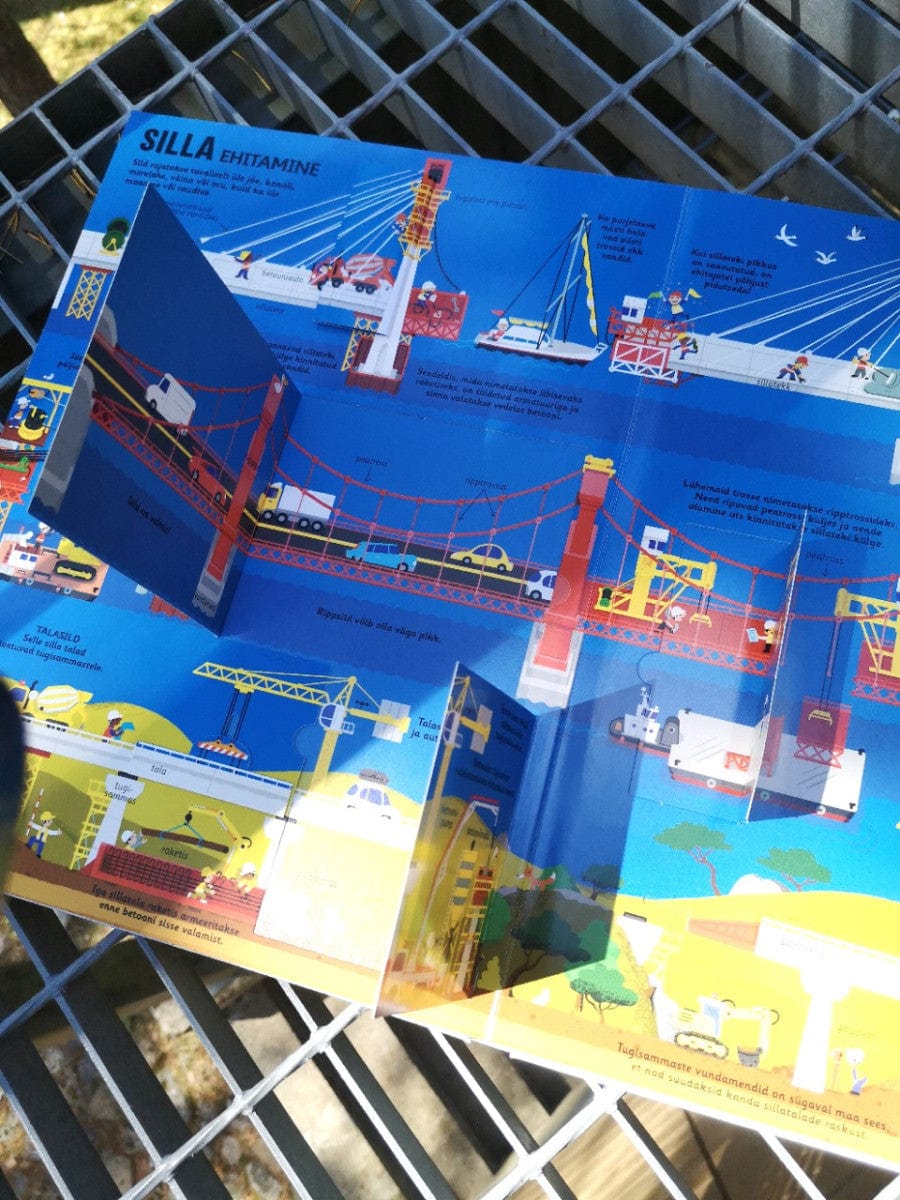 Villem Ehitame maja, silda, tunnelit, lennukit, laeva Koolibri