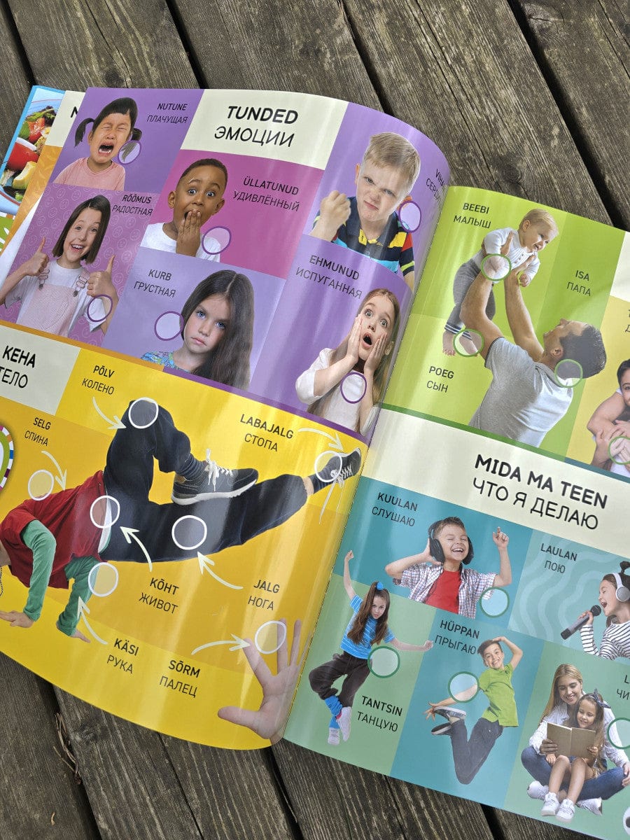 Villem Nutikas sõnastik 2 - kakskeelne heliraamat! EST/RUS Koolibri