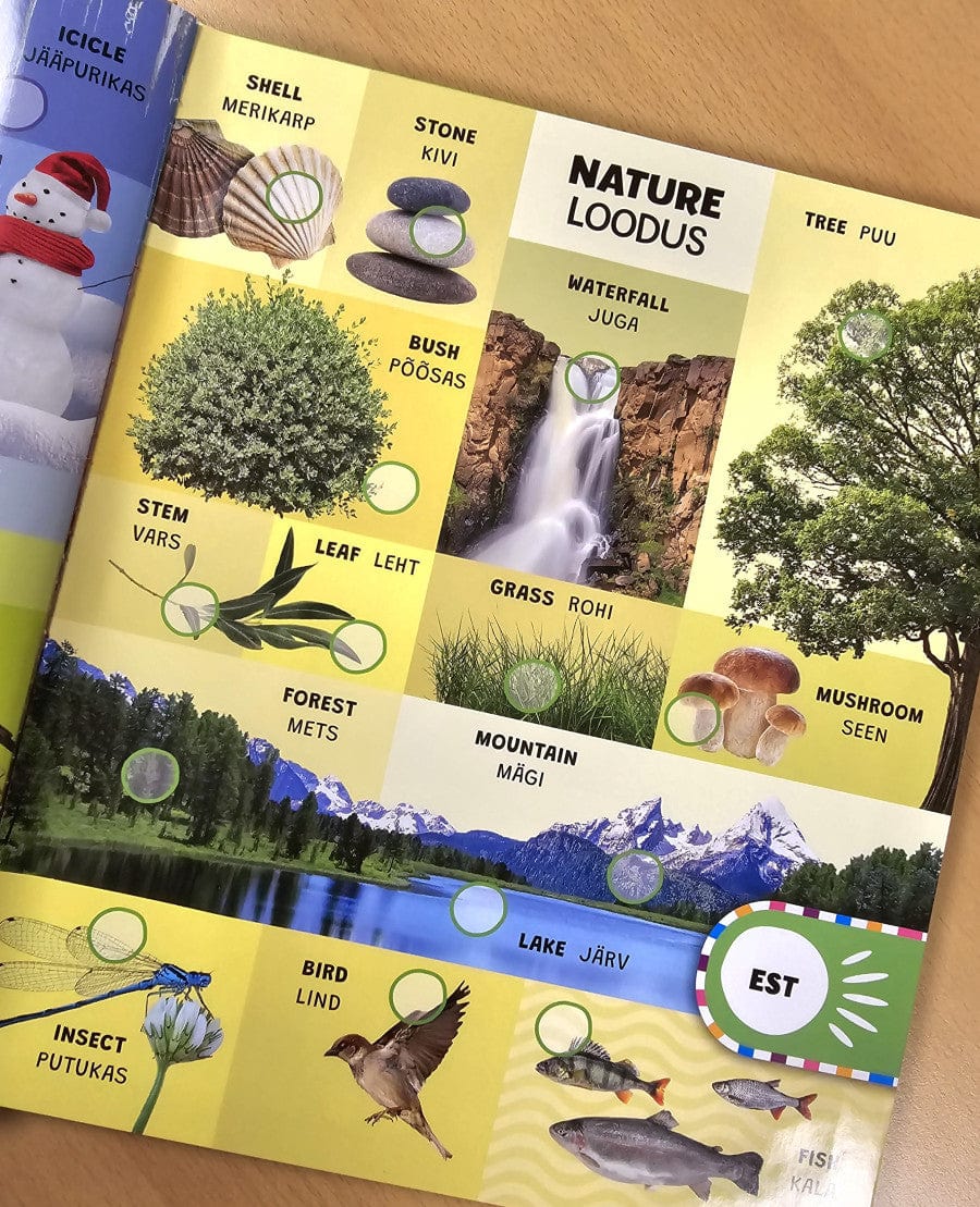 Villem Nutikas sõnastik. Kool on cool - kakskeelne heliraamat! EST/ENG Koolibri