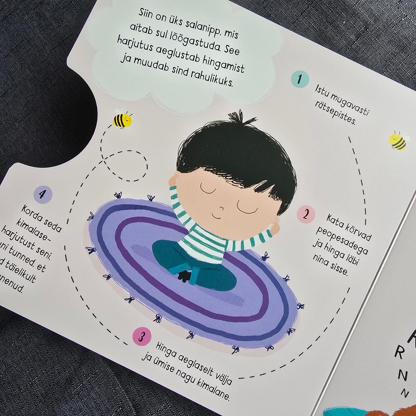 Villem Oskan olla rahulik Koolibri