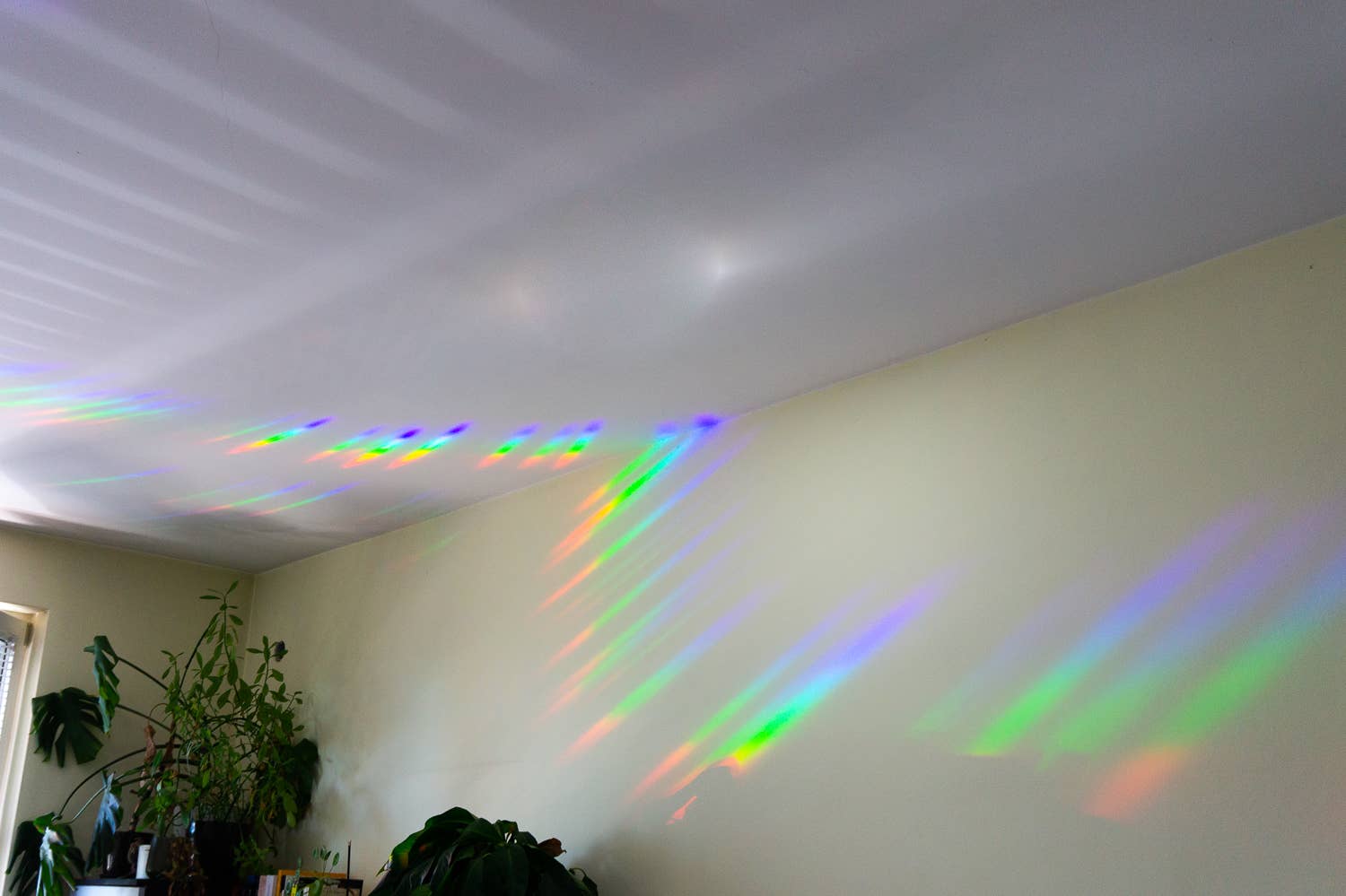 Villem Vikerkaare päikesepüüdja kleebis "Good Vibes Only" Creative Goodie