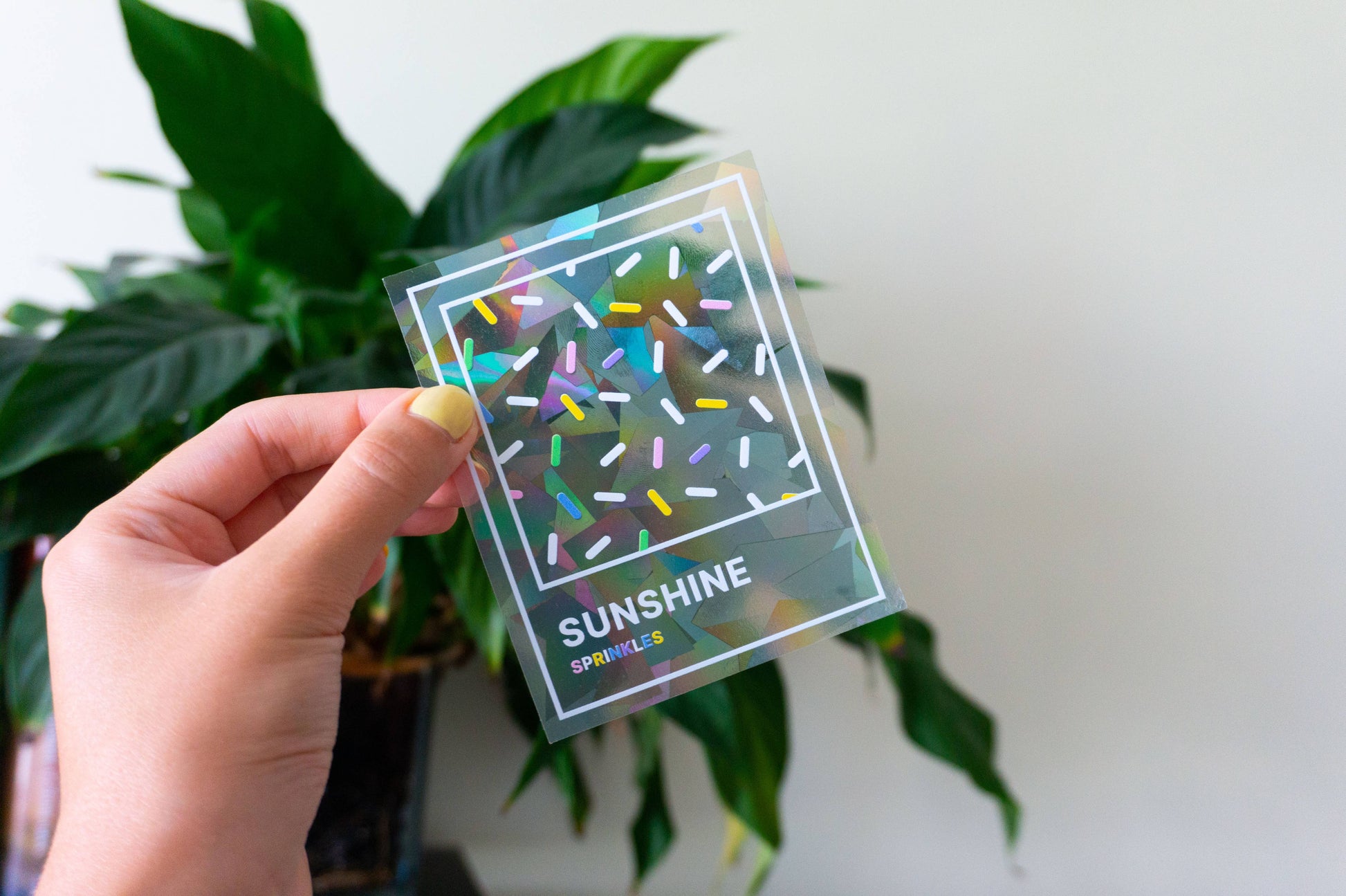 Villem Vikerkaare päikesepüüdja kleebis "Sunshine" Creative Goodie