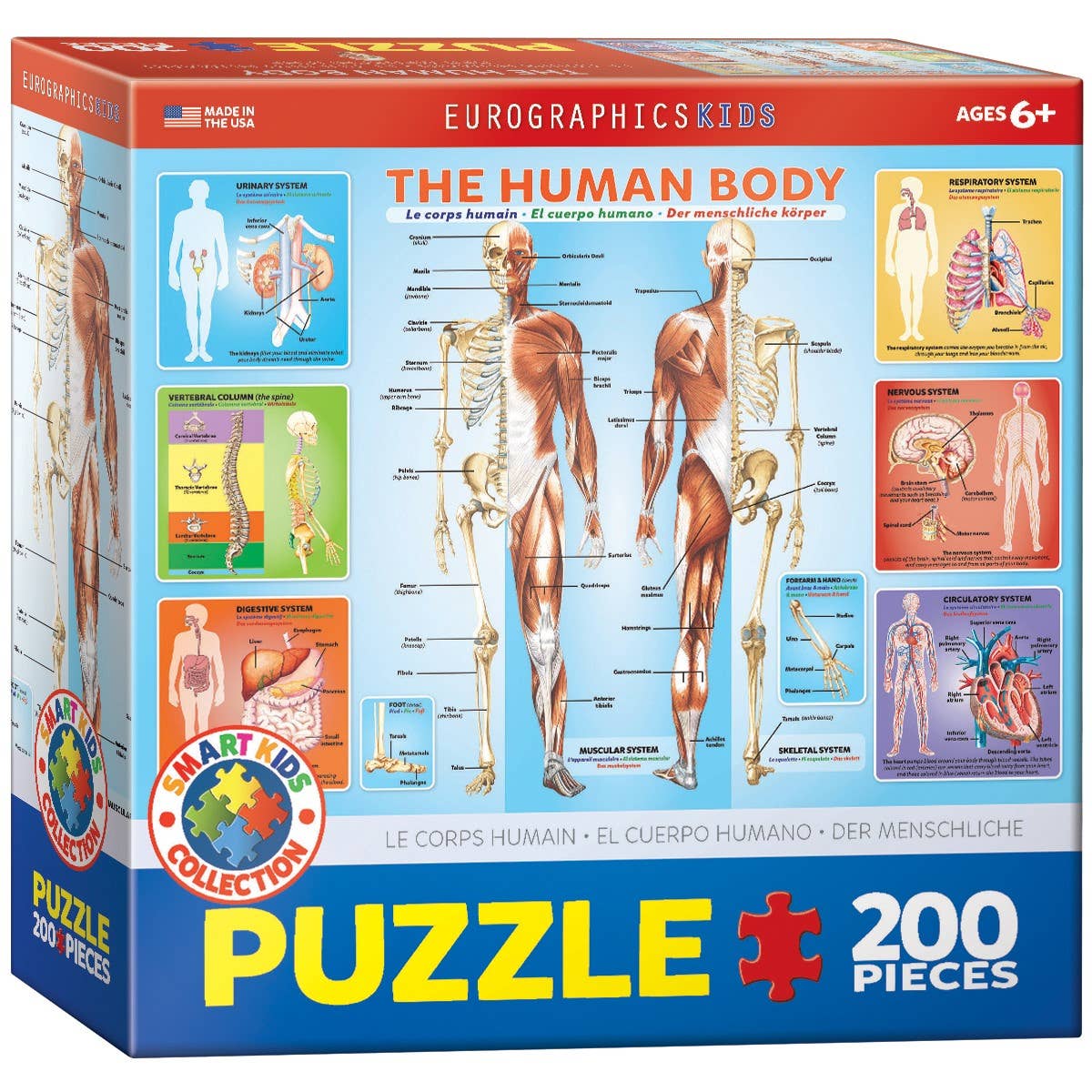 Villem Pusle The Human Body #2 200 tk Eurographics Puzzles Europe