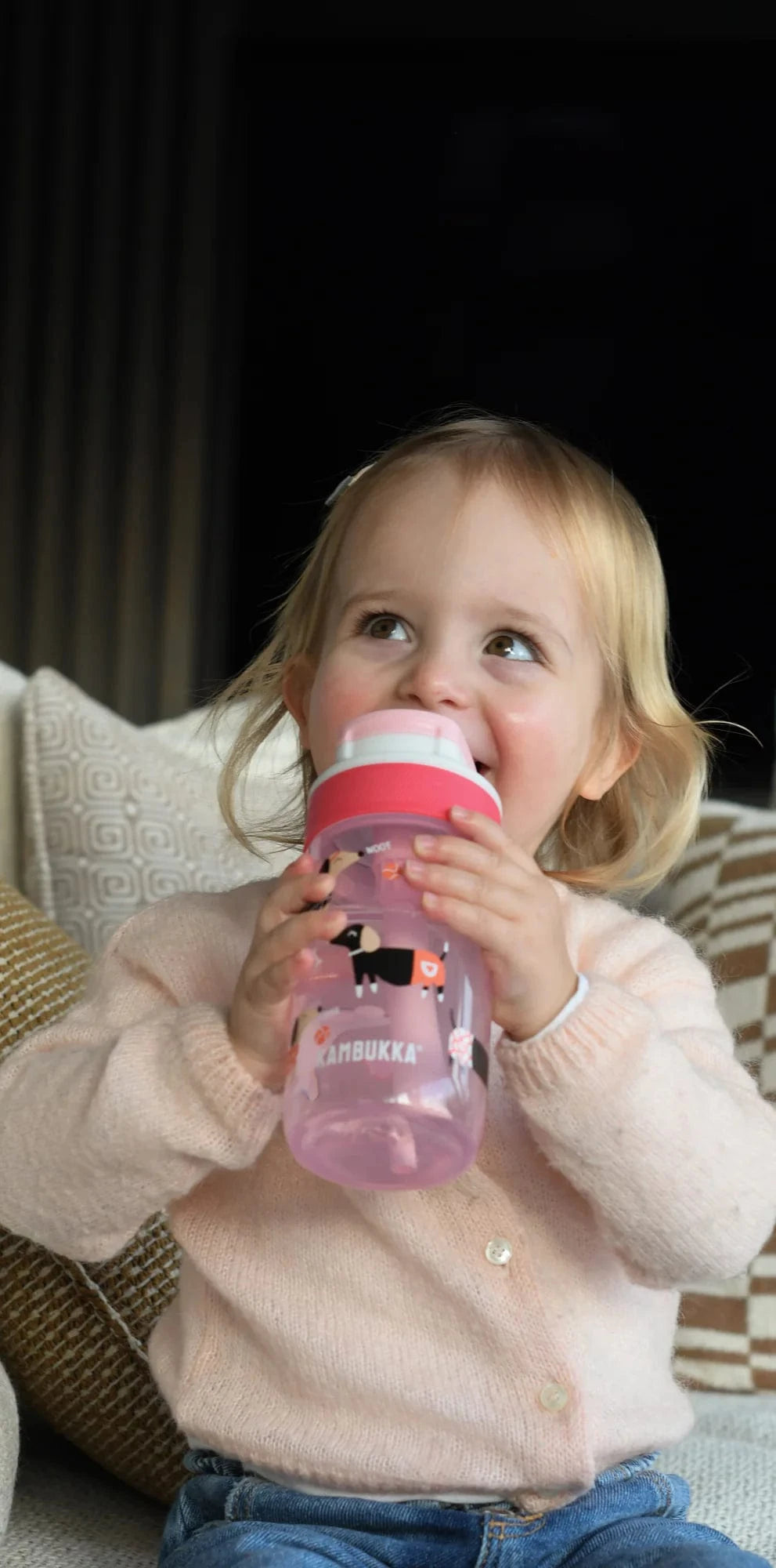 Villem Kambukka Lagoon 400 ml - Diva Dogs Kambukka