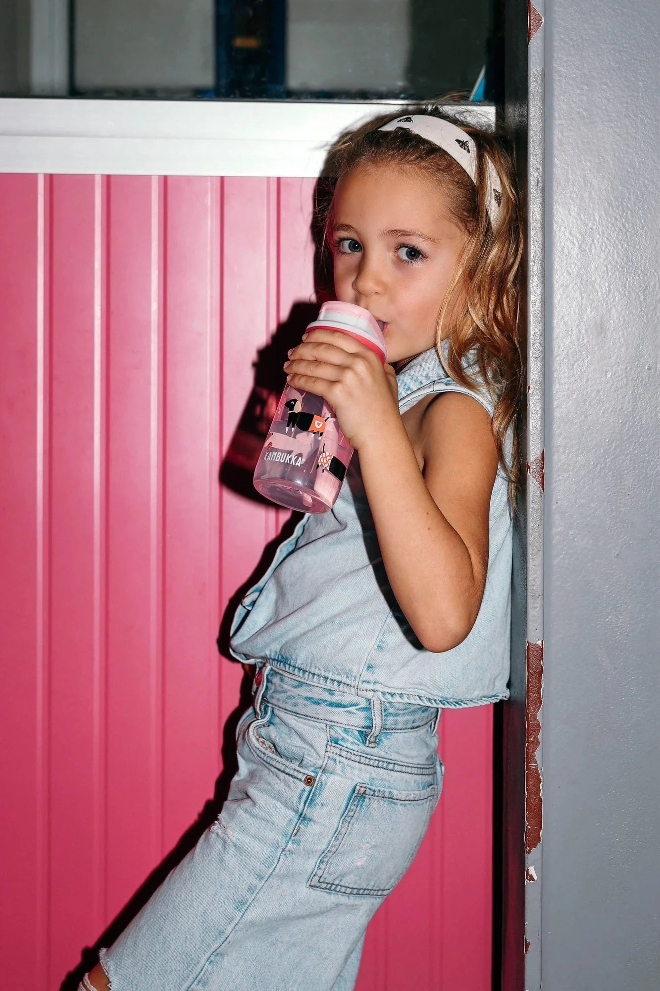 Villem Kambukka Lagoon 400 ml - Diva Dogs Kambukka