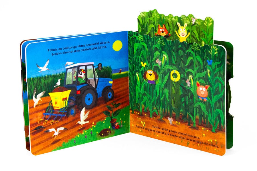 Villem Beebi pardal. Traktor Koolibri