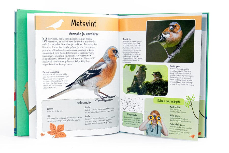 Villem Ise tehtud, hästi tehtud. Lindude toidumaja Koolibri