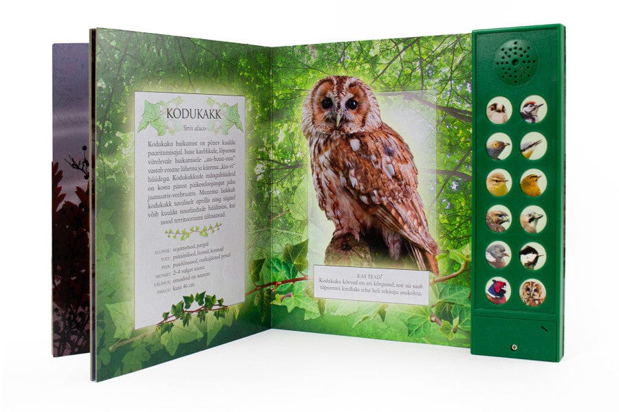 Villem Kuula metsalinde Koolibri