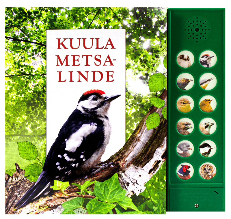 Villem Kuula metsalinde Koolibri