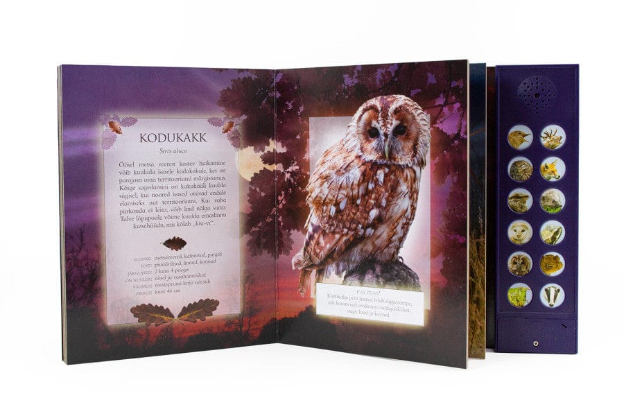 Villem Kuula ööloomi Koolibri