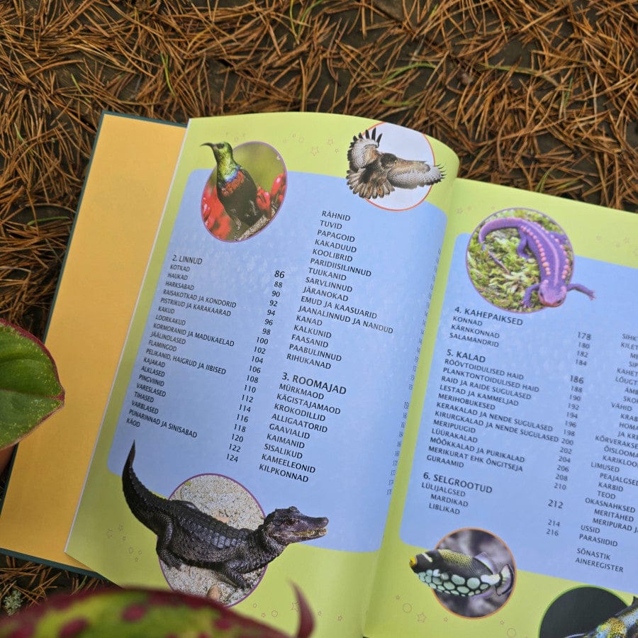 Villem Loomaentsüklopeedia Koolibri