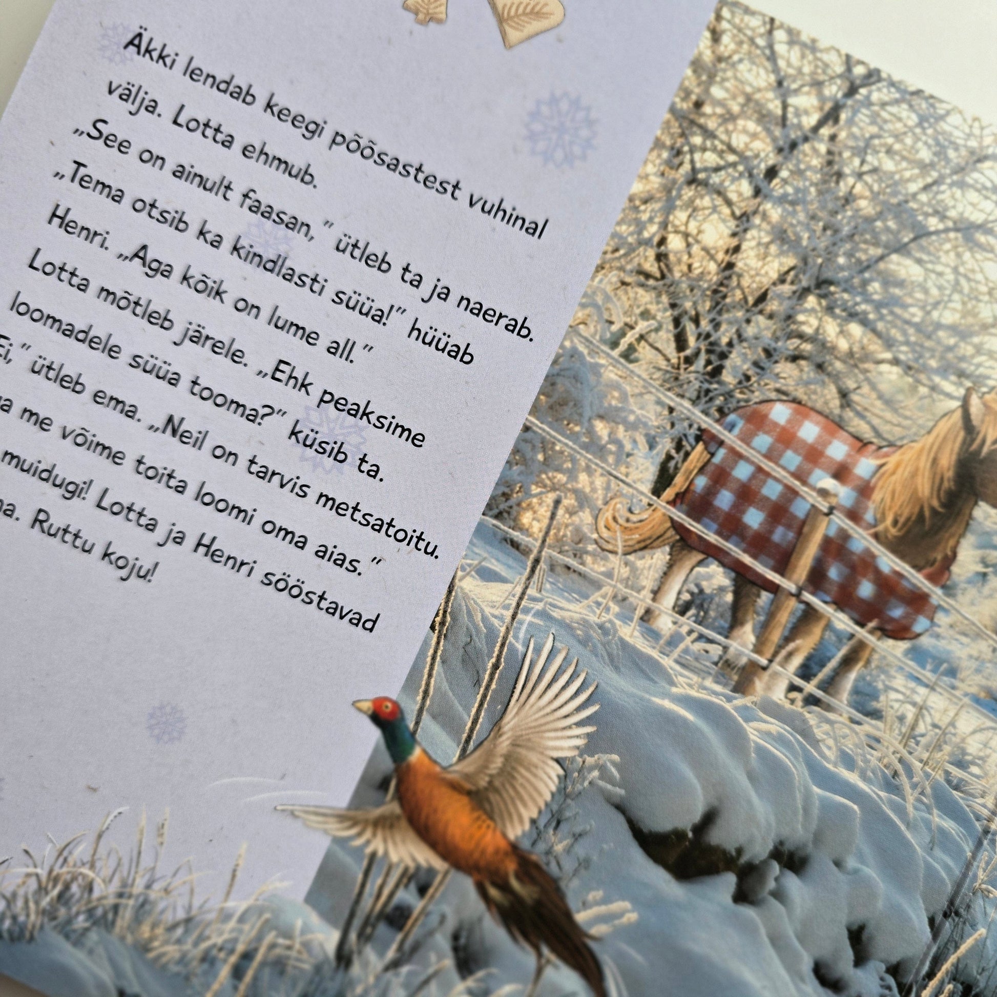 Villem Lota peab jõule Koolibri