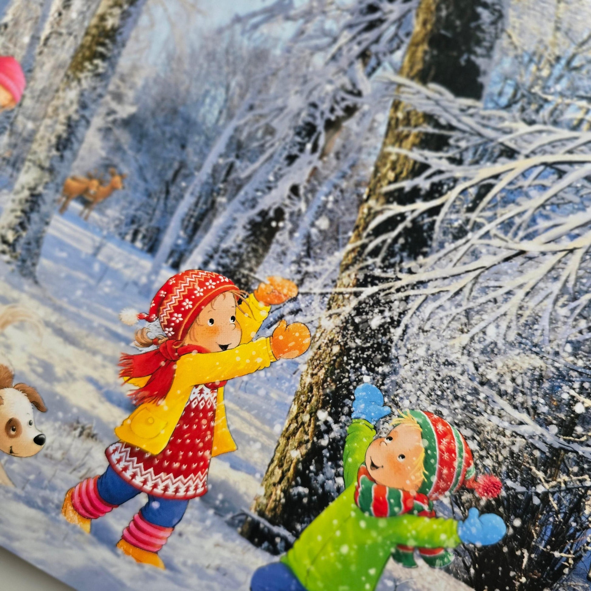 Villem Lota peab jõule Koolibri