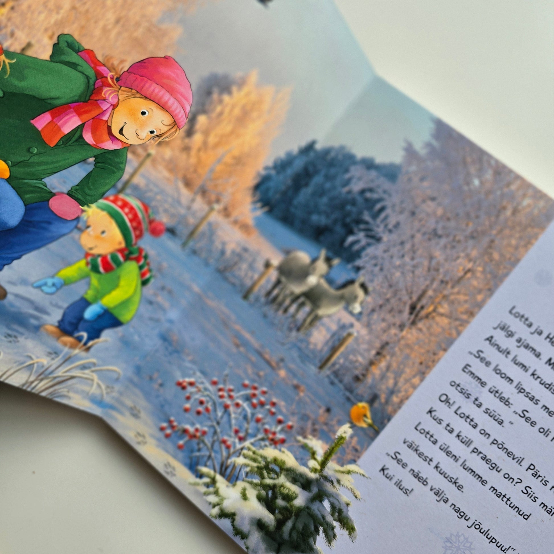 Villem Lota peab jõule Koolibri