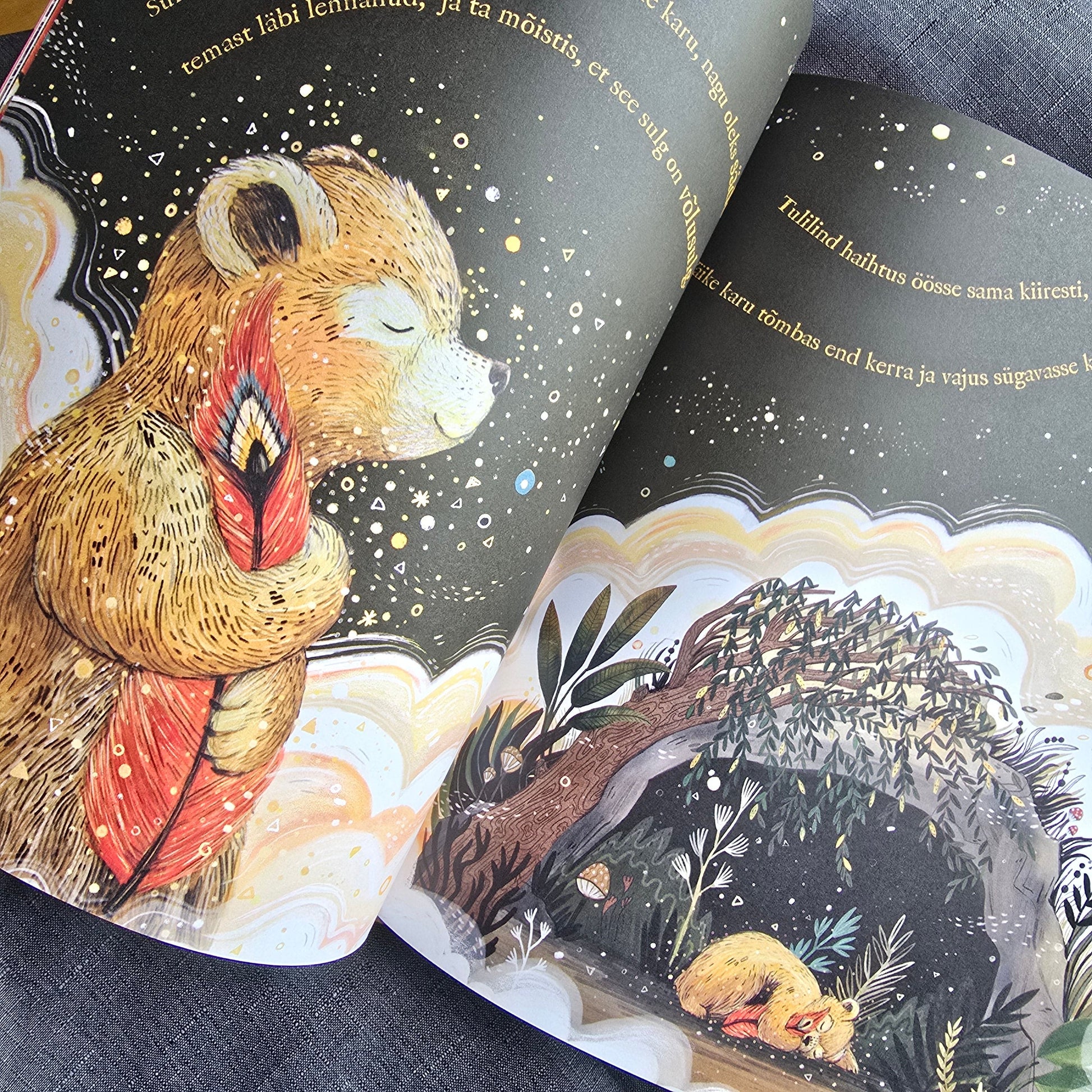 Villem Võlusulg Koolibri