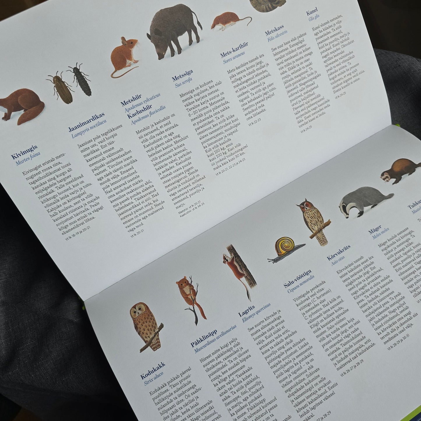 Villem Loomad öös - suur raamat! LÕPUMÜÜK