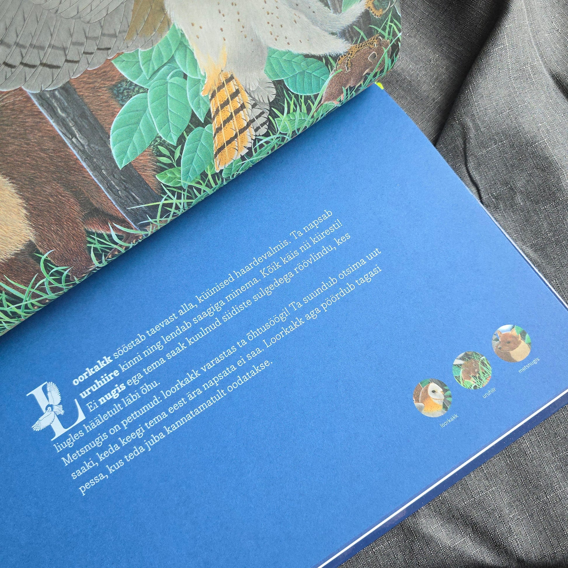 Villem Loomad öös - suur raamat! LÕPUMÜÜK