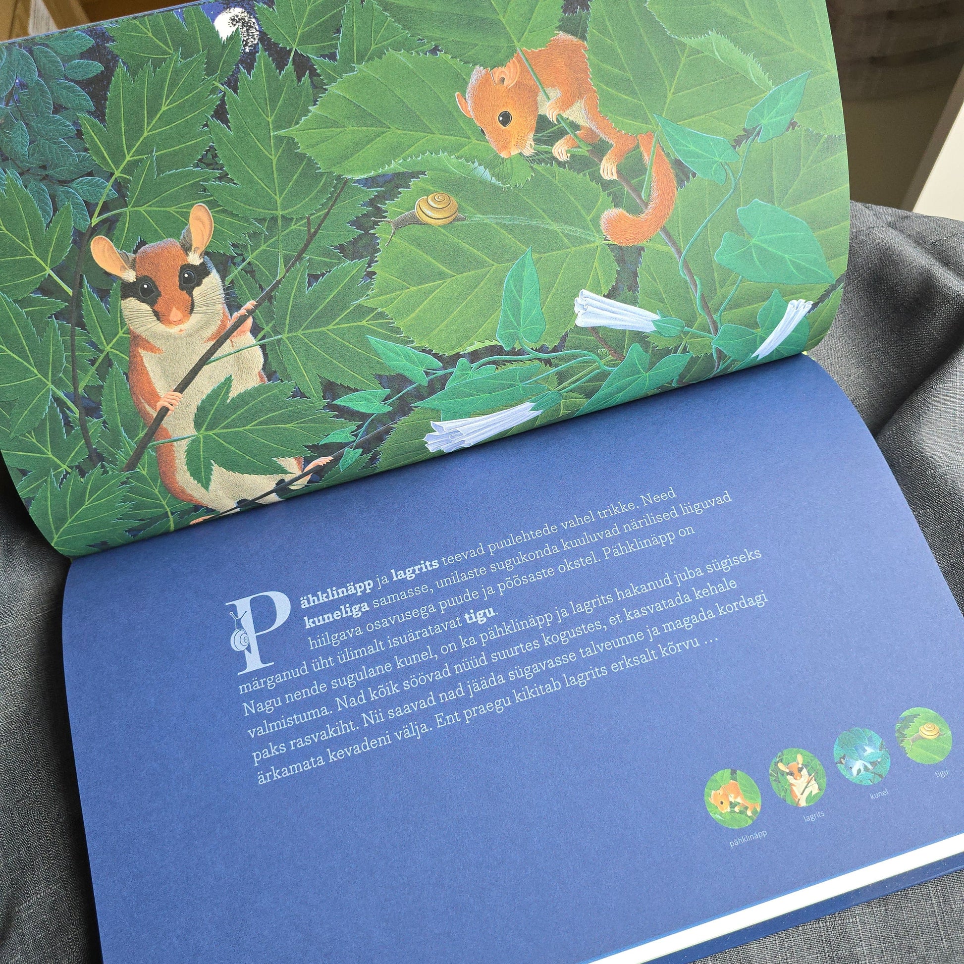 Villem Loomad öös - suur raamat! LÕPUMÜÜK