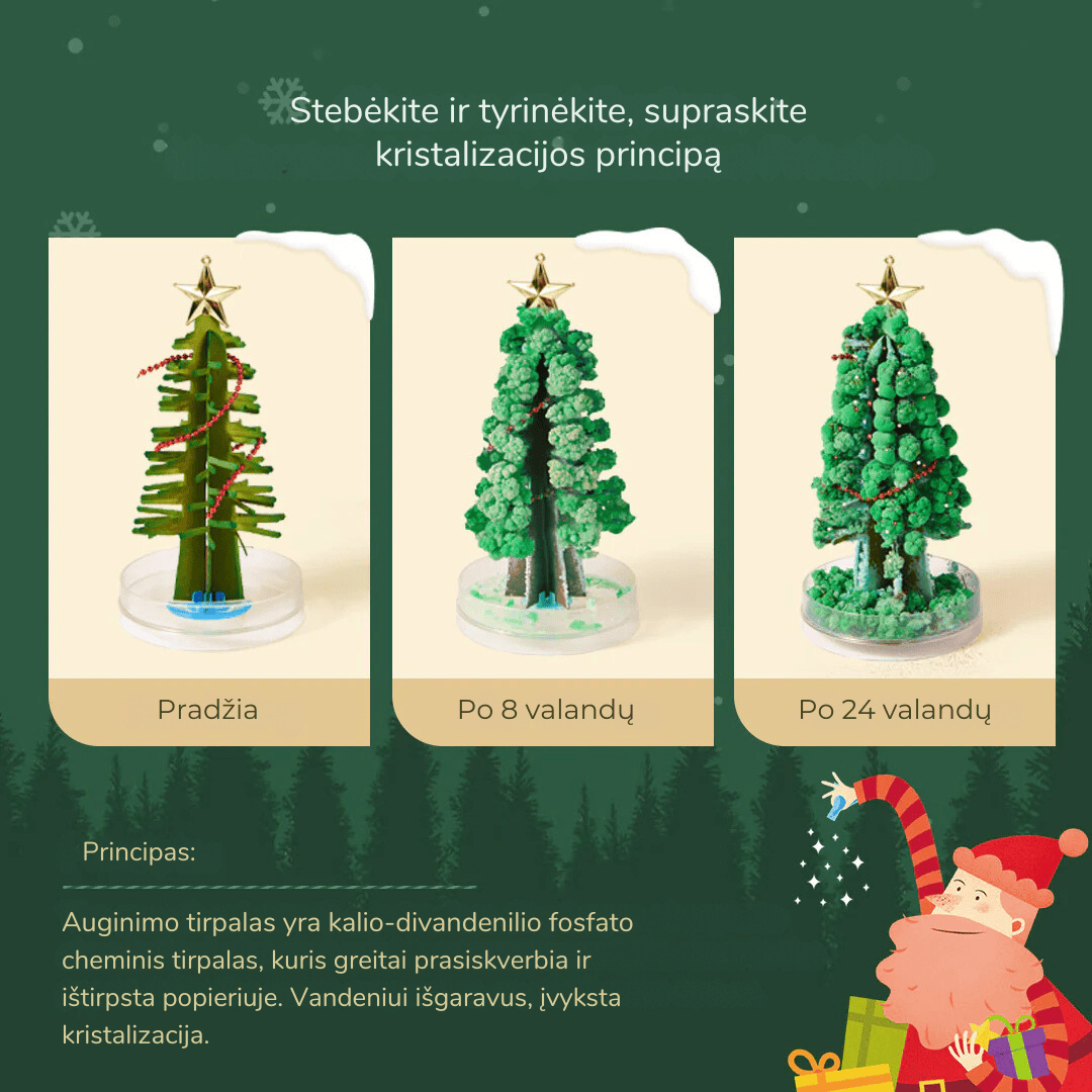 Villem MIDEER  loovkomplekt Maagiline kuusk Mideer