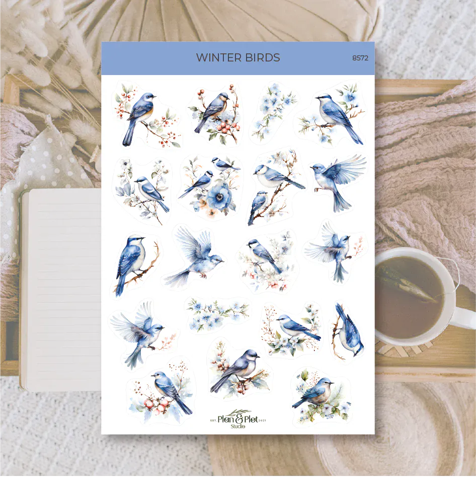 Villem Kleebised: Winter Birds | läbipaistev matt vinüül Plan & Plot Studio