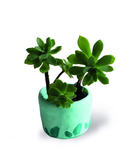 Villem PRIMO õhu käes kuivav pastelne mündiroheline - 500g PRIMO