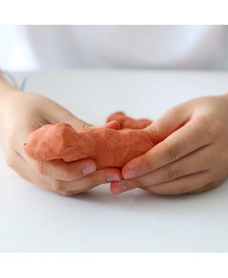 Villem PRIMO õhu käes kuivav pastelne pruun - 500g PRIMO