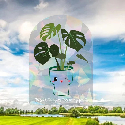 Villem Aknakleebis Monstera – Rainbow Maker Studio Inktvis