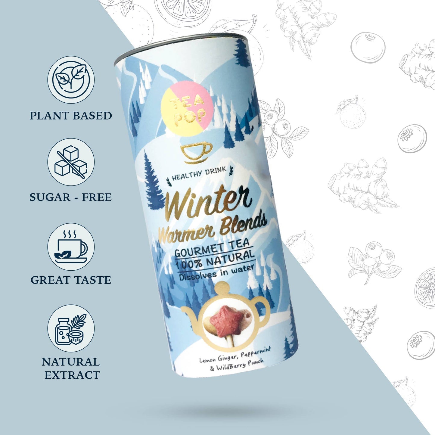 Villem Tea-Pop kinkekomplekt gurmeetee "Winter Warmer” 6 tk TeaPop