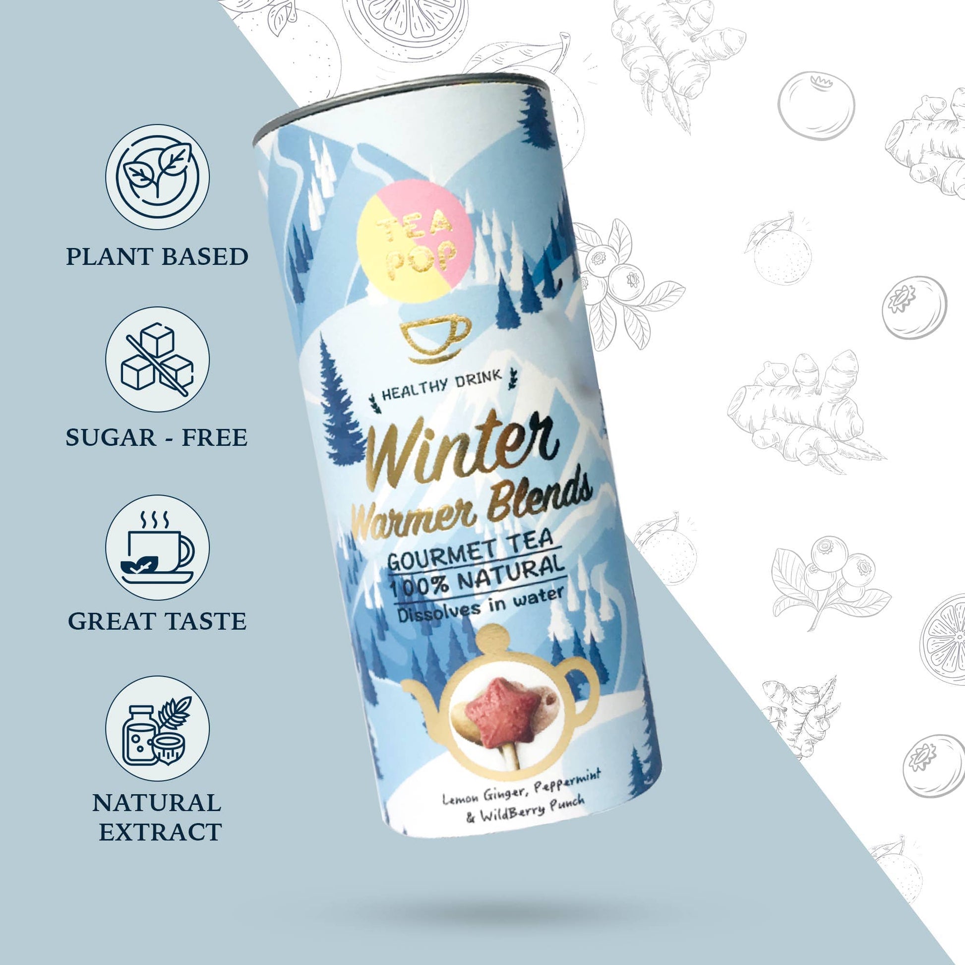 Villem Tea-Pop kinkekomplekt gurmeetee "Winter Warmer” 6 tk TeaPop