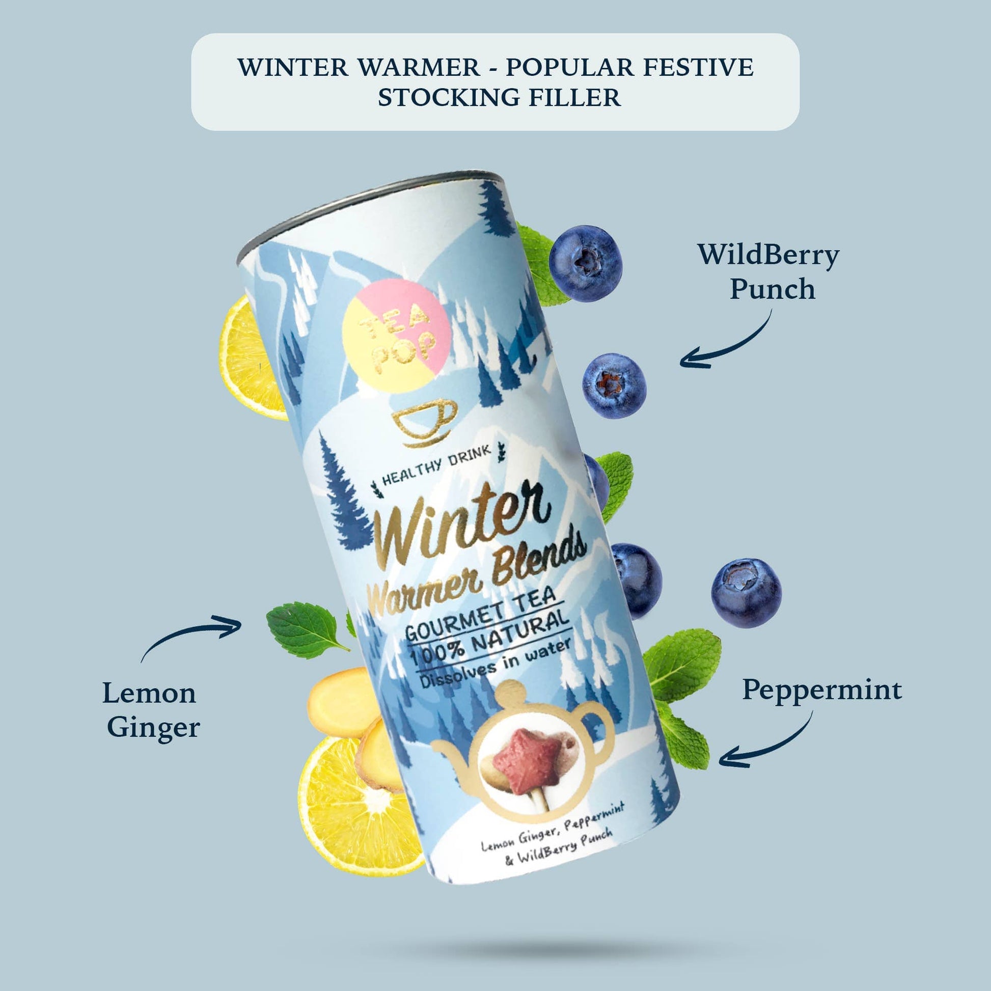 Villem Tea-Pop kinkekomplekt gurmeetee "Winter Warmer” 6 tk TeaPop