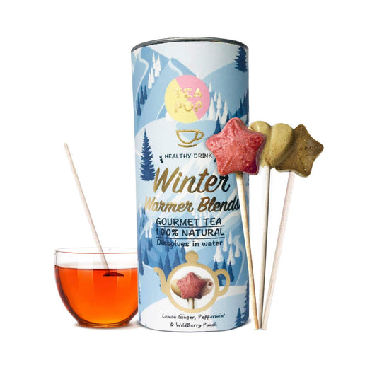 Villem Tea-Pop kinkekomplekt gurmeetee "Winter Warmer” 6 tk TeaPop