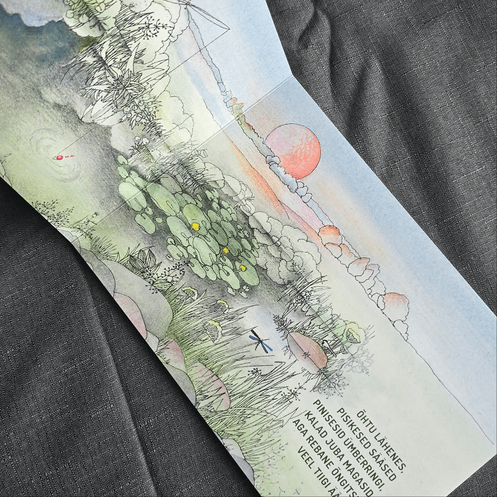 Villem TUTA ASJAD pildiraamat "Rebane läheb Tuttu" TUTA ASJAD